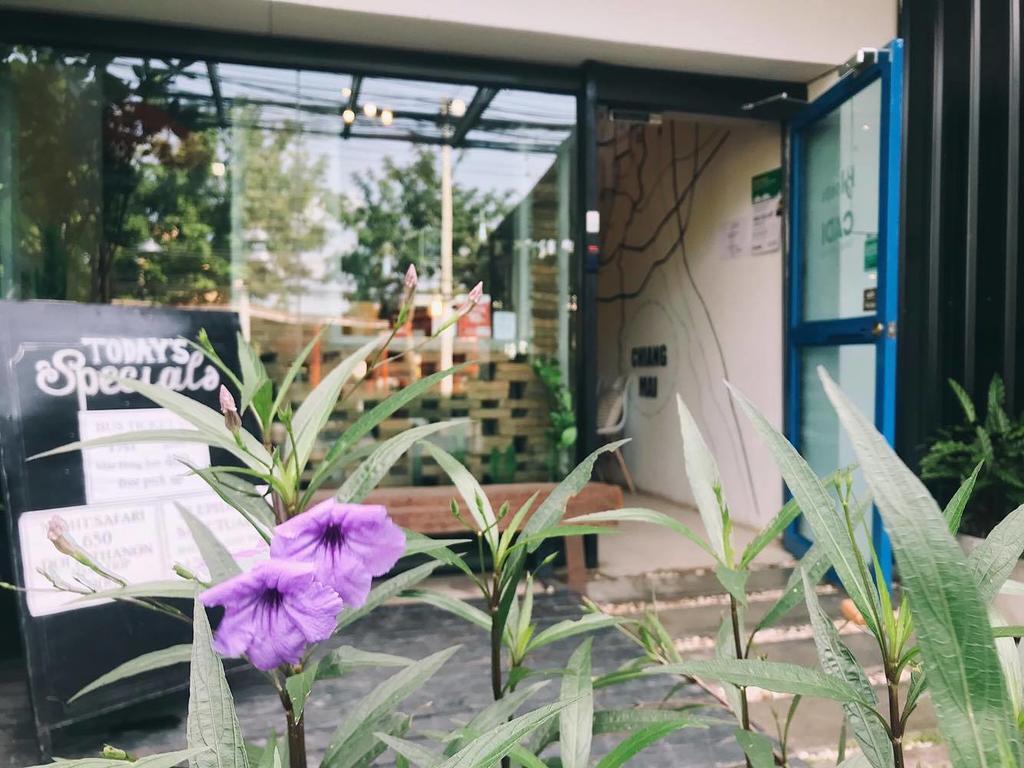 Bloomz Hostel Chiang Mai Exterior photo